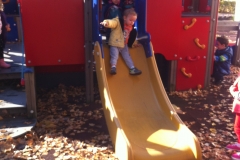 Pictures 036